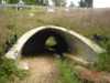 Bottomless Plate Arch