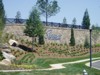 Site Wall Design